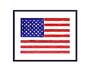 america and white/blue mat print